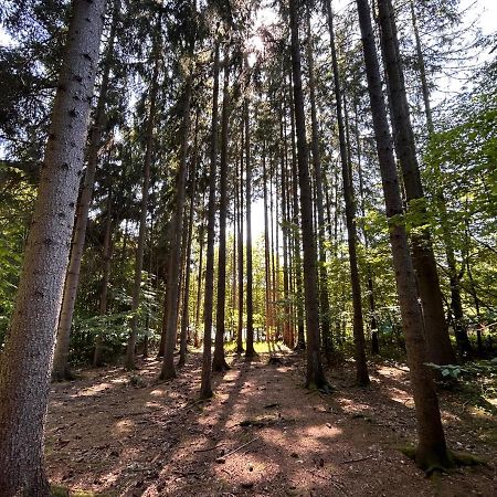 Apartman Na Kraji Lesa Vsemina Luaran gambar
