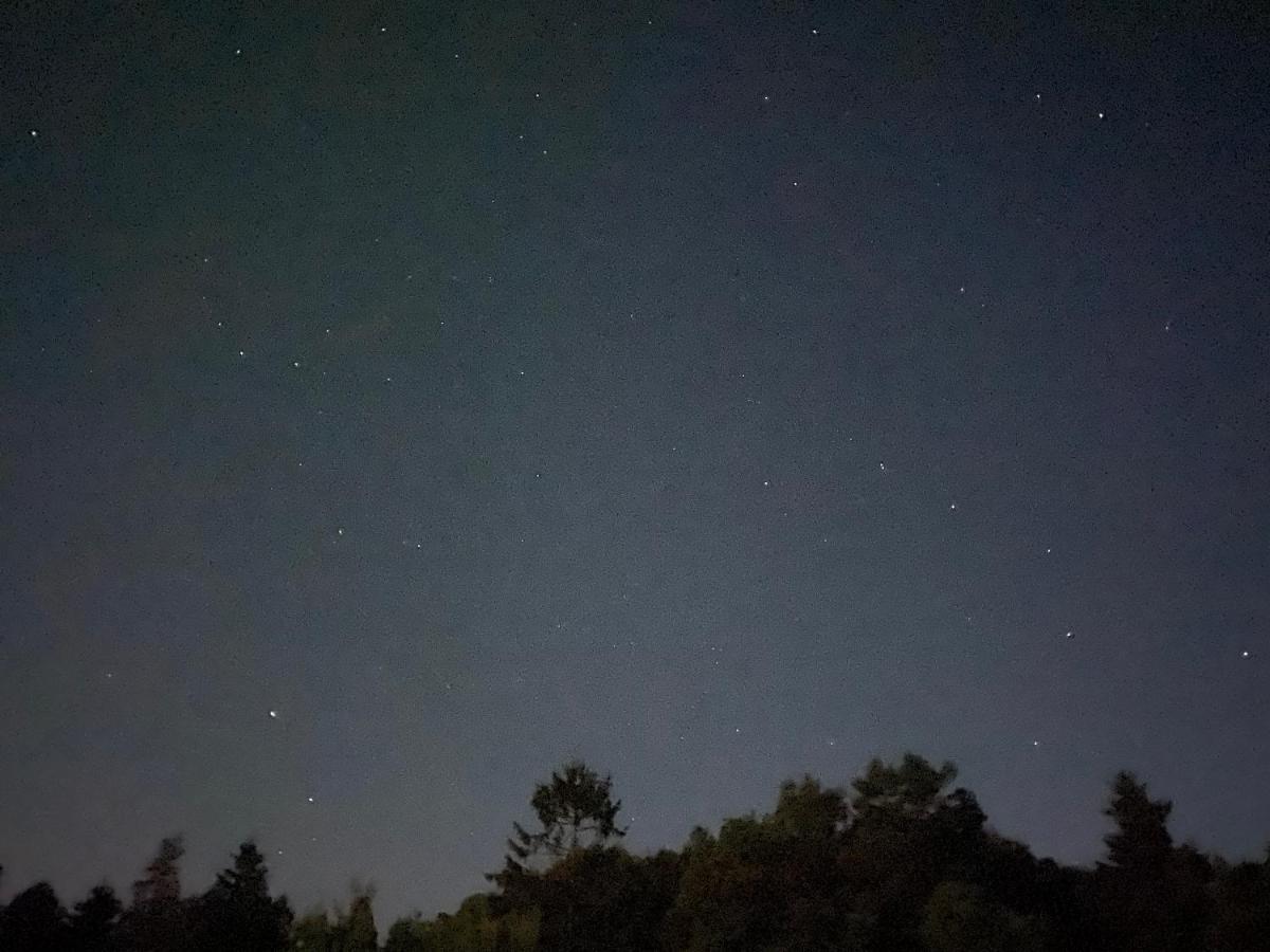 Apartman Na Kraji Lesa Vsemina Luaran gambar