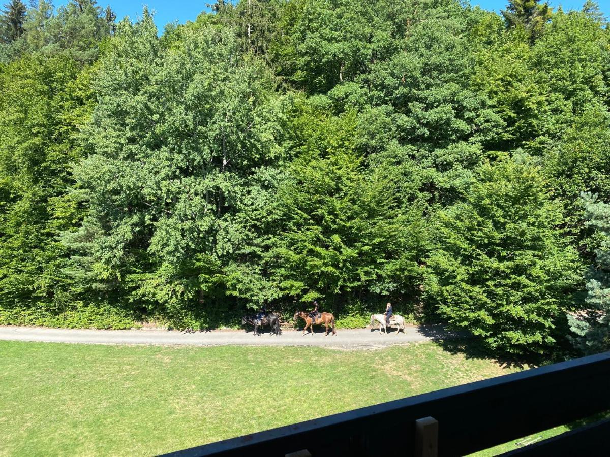 Apartman Na Kraji Lesa Vsemina Luaran gambar