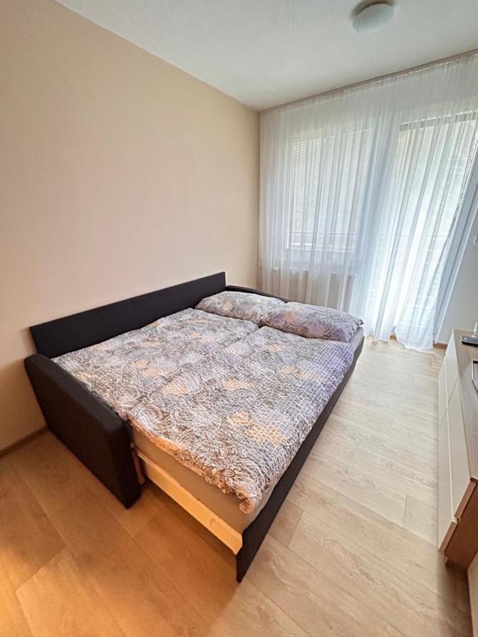 Apartman Na Kraji Lesa Vsemina Luaran gambar