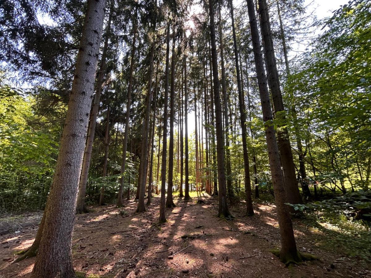 Apartman Na Kraji Lesa Vsemina Luaran gambar